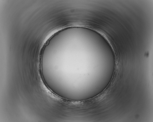 X0000115021147200911091437