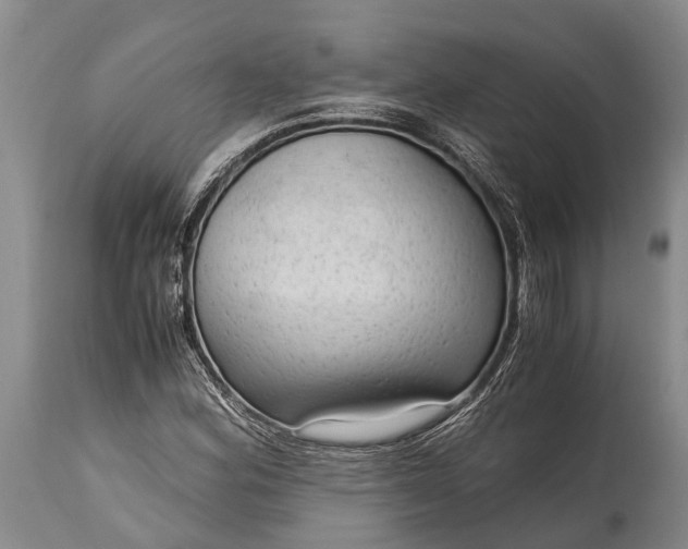 X0000115021164200911091436