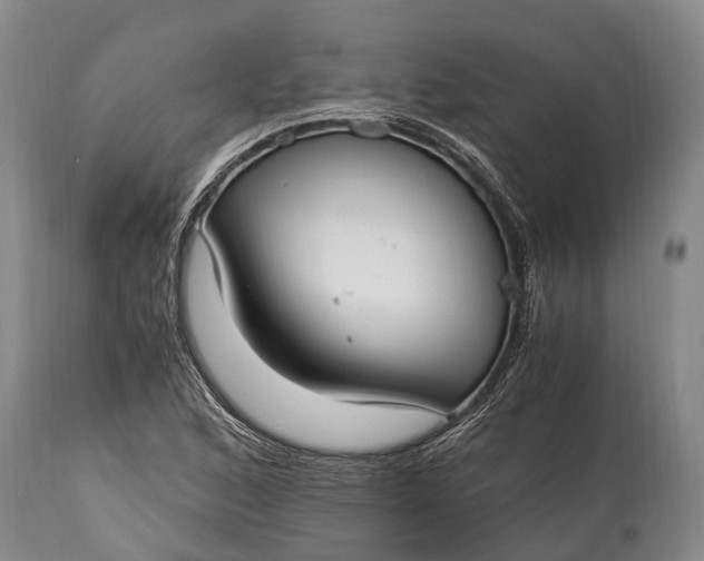 X0000115021168200911091436