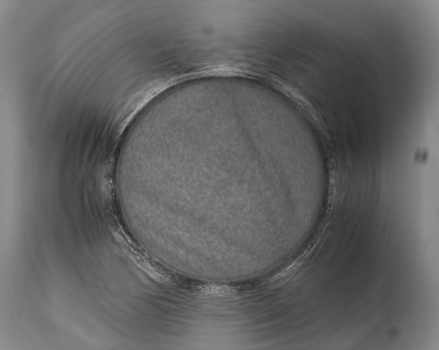X0000115021170200911091436