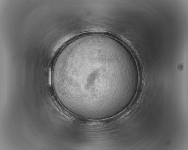 X0000115021171200911091436