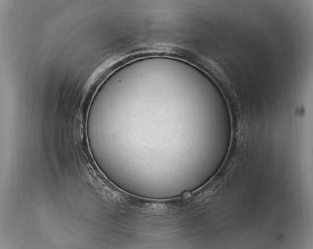 X0000115021172200911091436