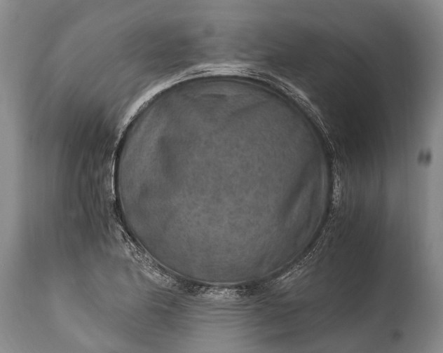 X0000115021174200911091436