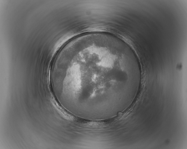 X0000115021179200911091436