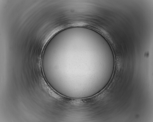 X0000115021186200911091436