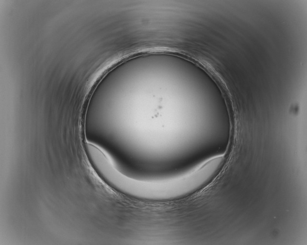 X0000115021189200911091436