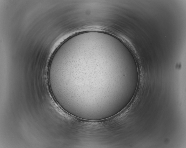 X0000115021192200911091435