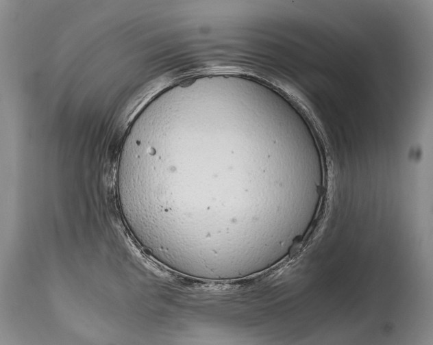 X0000115021193200911091435