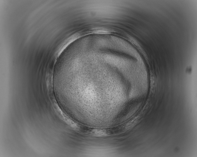 X0000115021194200911091435