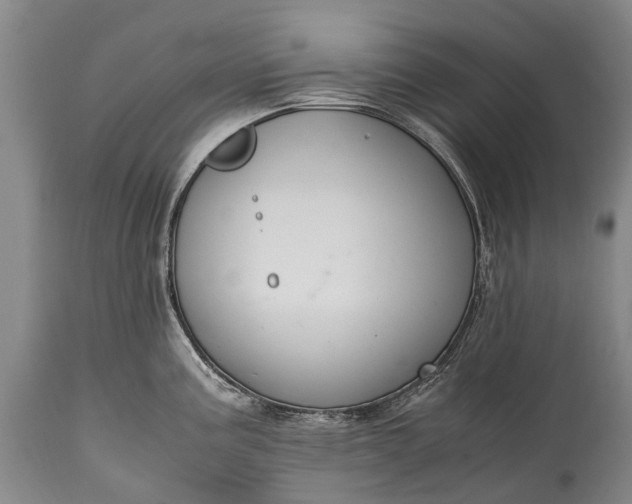 X0000115021195200911091435