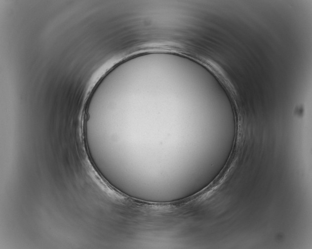 X0000115021196200911091435