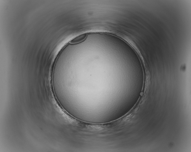 X0000115021197200911091435