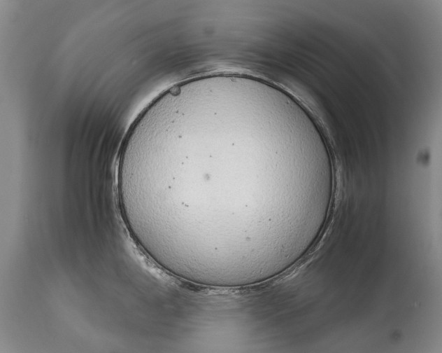 X0000115021198200911091435