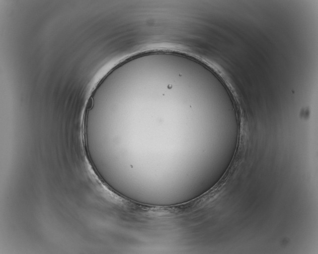 X0000115021199200911091435