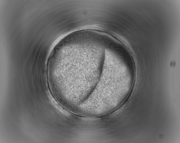 X0000115021200200911091435