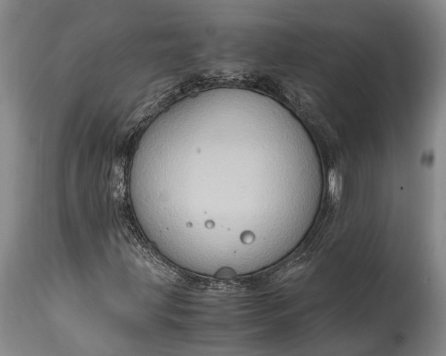 X0000115021203200911091435