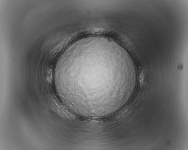 X0000115021204200911091435
