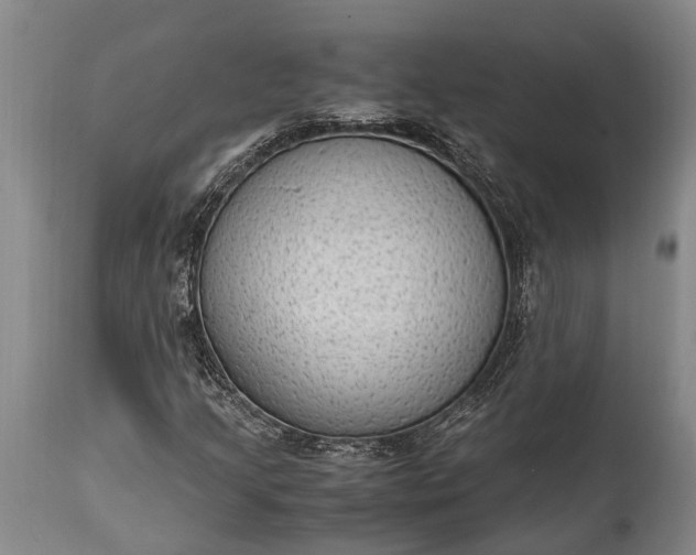 X0000115021205200911091435