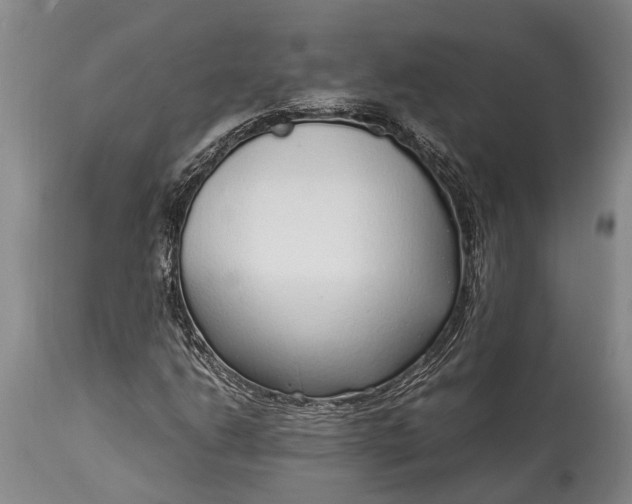 X0000115021206200911091435