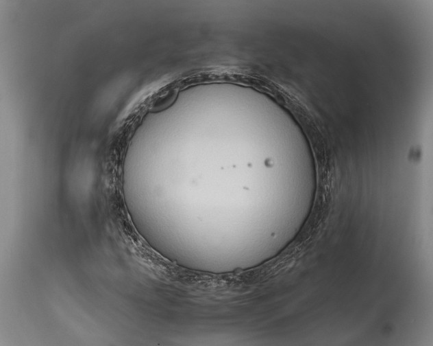X0000115021207200911091435