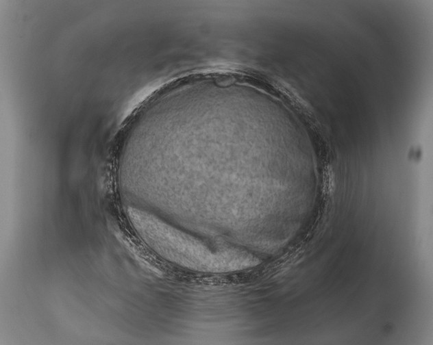 X0000115021208200911091435