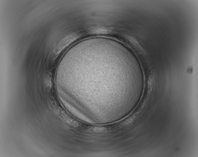 X0000115021209200911091435