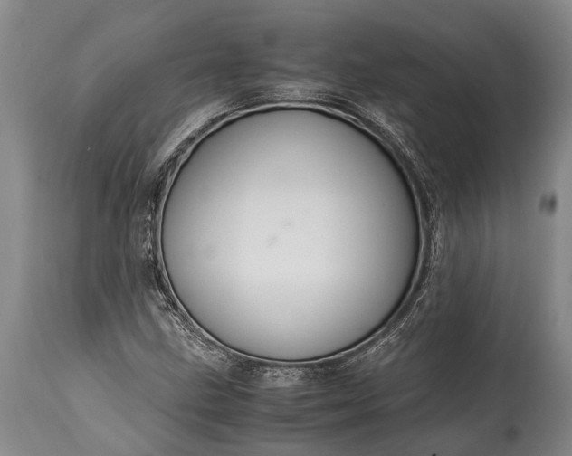 X0000115021211200911091435