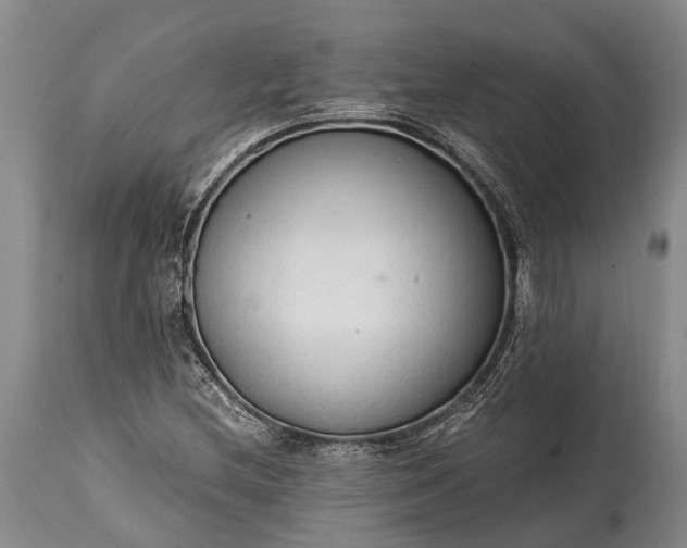 X0000115021212200911091435