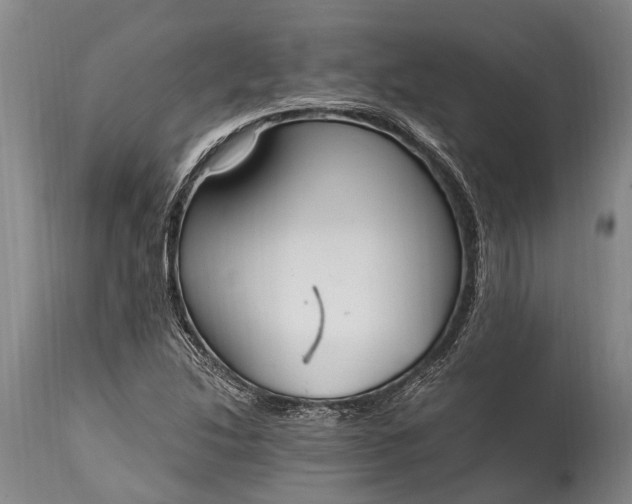 X0000115021214200911091435