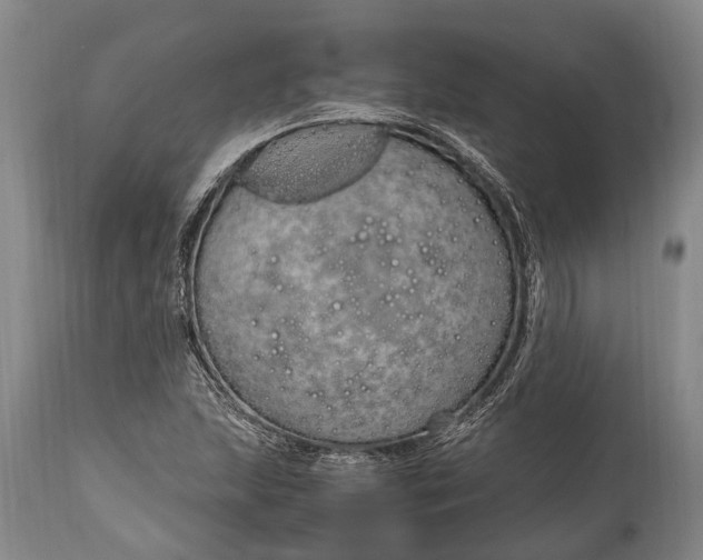 X0000115021215200911091435