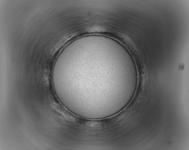 X0000115021217200911091435