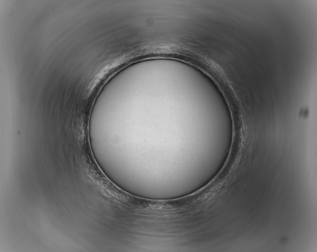 X0000115021218200911091435