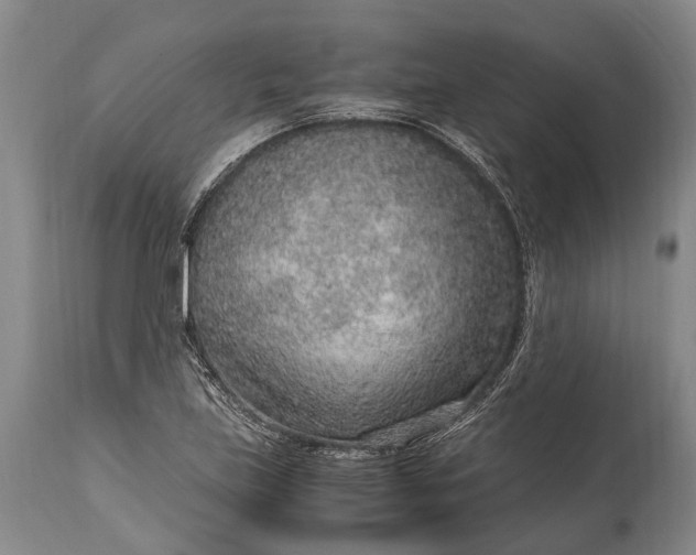 X0000115021219200911091435
