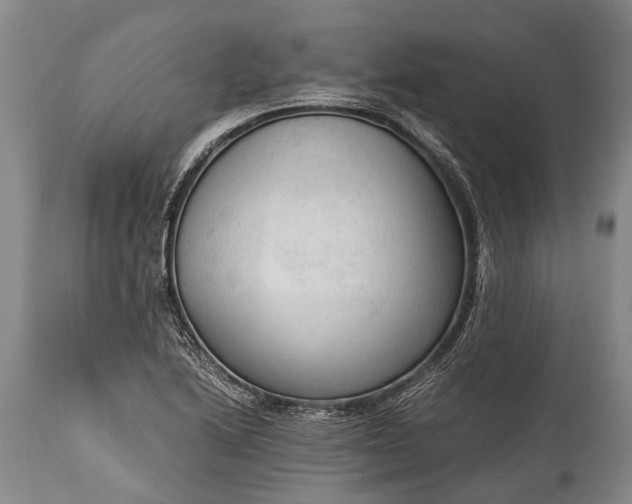 X0000115021222200911091435