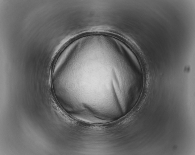 X0000115021224200911091435