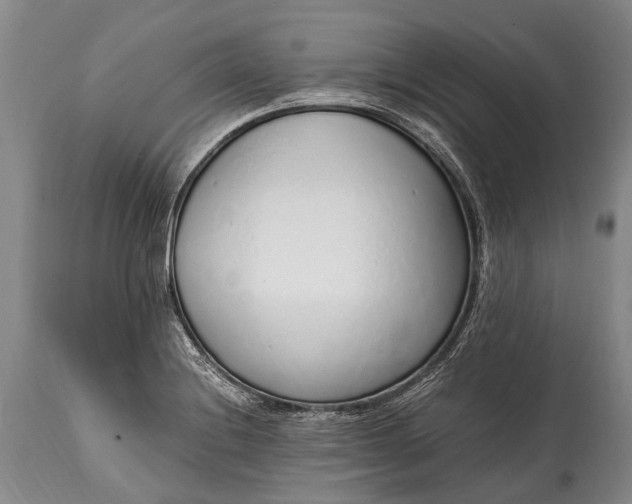 X0000115021228200911091435