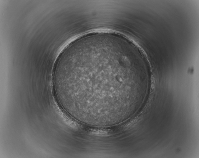 X0000115021229200911091435
