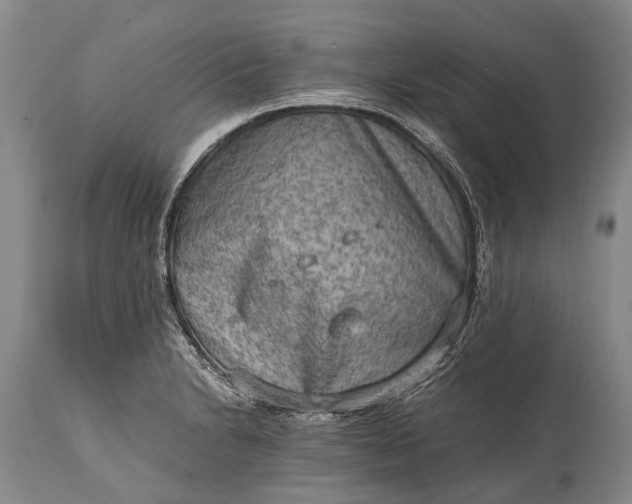 X0000115021230200911091435