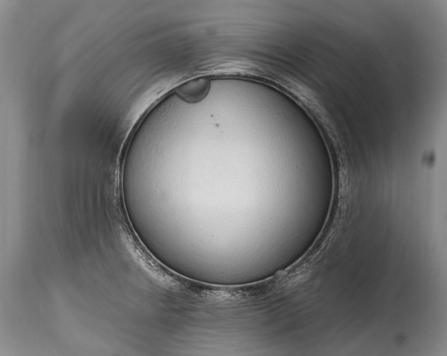 X0000115021234200911091435