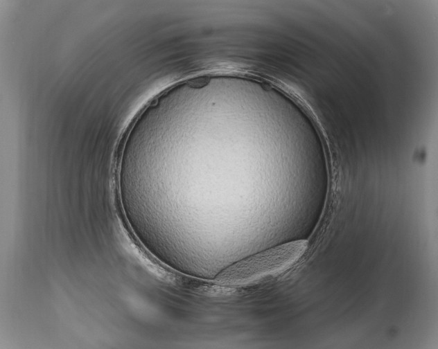X0000115021235200911091435