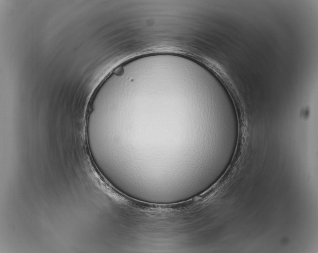 X0000115021236200911091435
