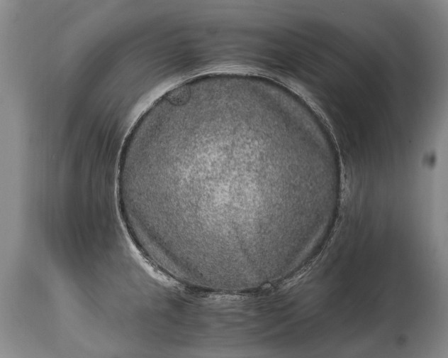 X0000115021237200911091435