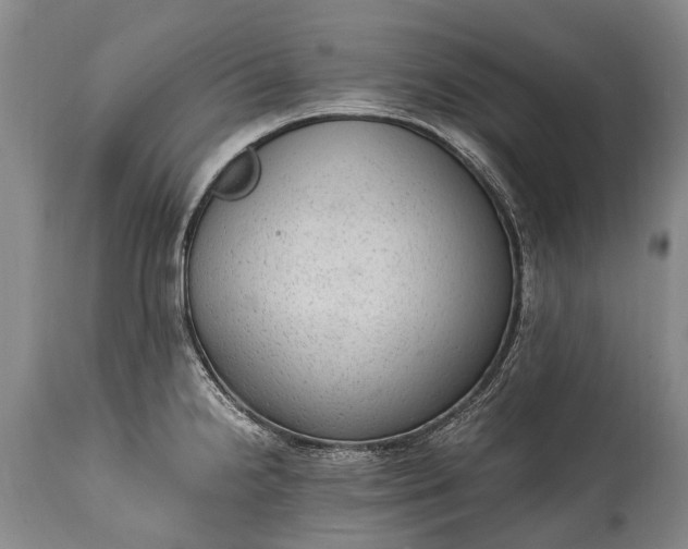 X0000115021238200911091435