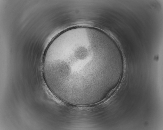 X0000115021240200911091435