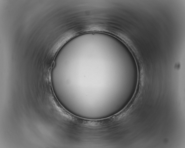 X0000115021241200911091435