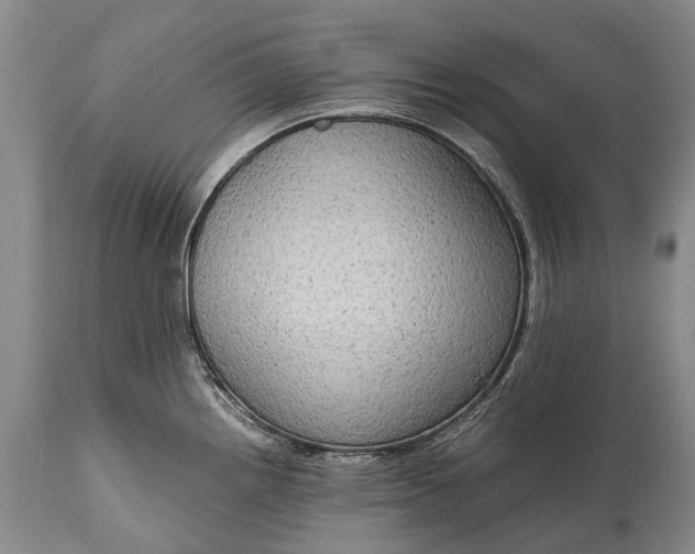 X0000115021242200911091435
