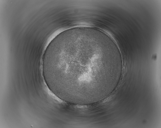 X0000115021243200911091435
