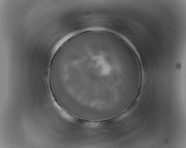 X0000115021245200911091435