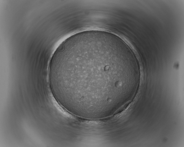 X0000115021246200911091435