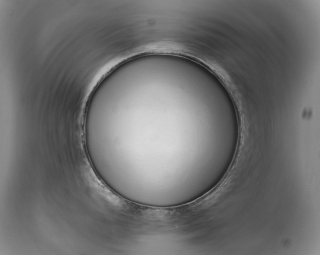 X0000115021248200911091435